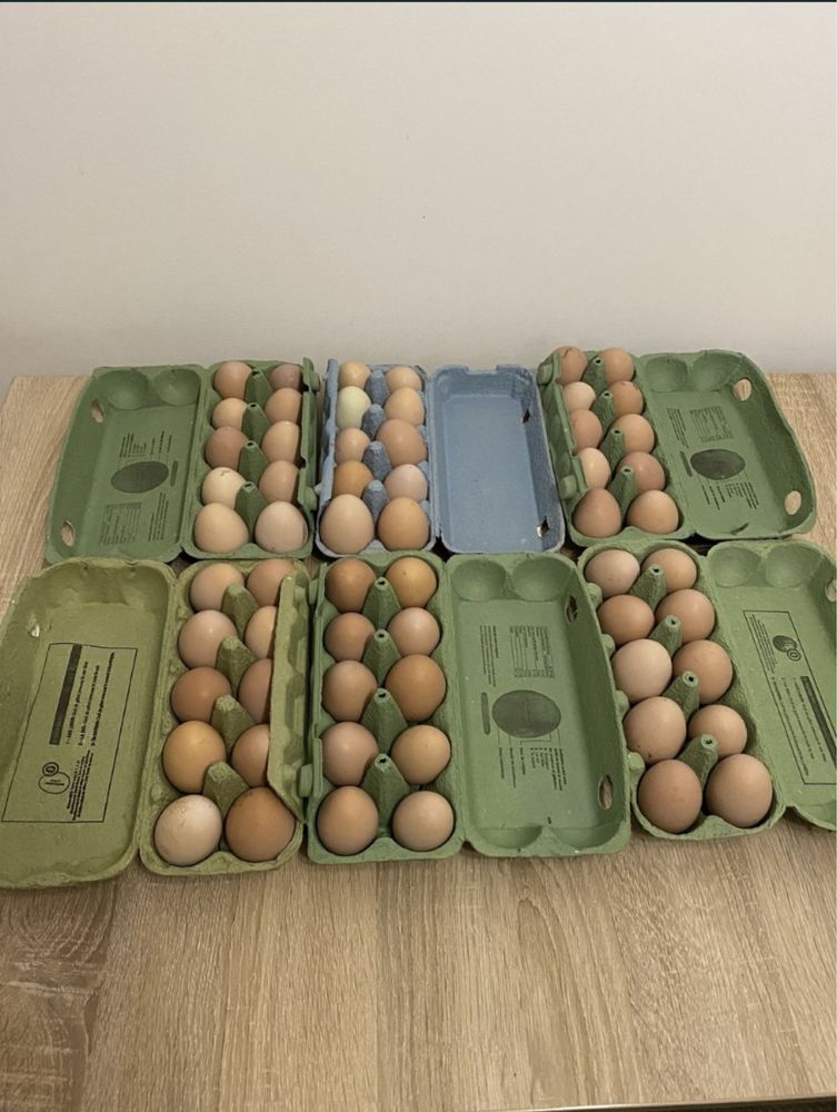 Ouă de casă din gospodărie proprie