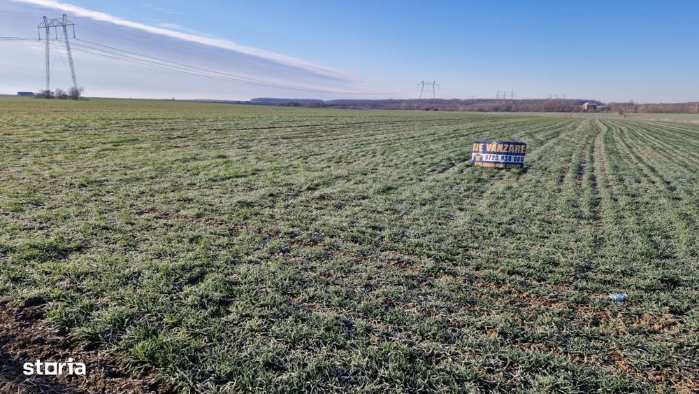 Teren de vânzare în comuna Albota, sat Cerbu, Județ Argeș.