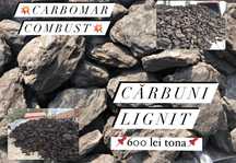Carbuni Lignit // 550 lei Tona