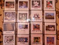 CD desene animate