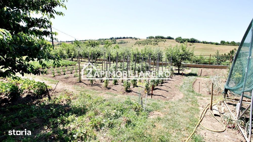 Teren intravilan 1.300 mp.zona Belvedere Targu Mures