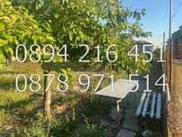 код 61333. Парцел 780м2 в кв. Момина баня с ток и вода за къща