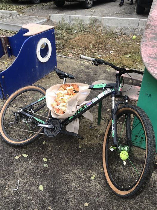 Срочно продам вел под стант