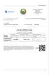 Услуги по получению разрешение на тонировку/онлайн доверенность.