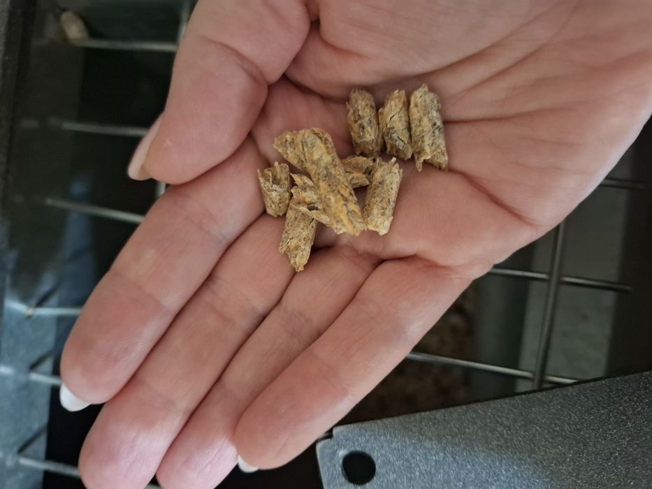 Продавам дървесни пелети 400лв за тон