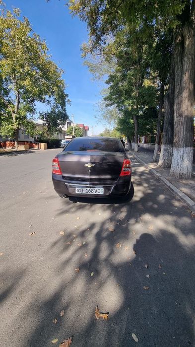 Кобалт Сухой аренда йоки викуб