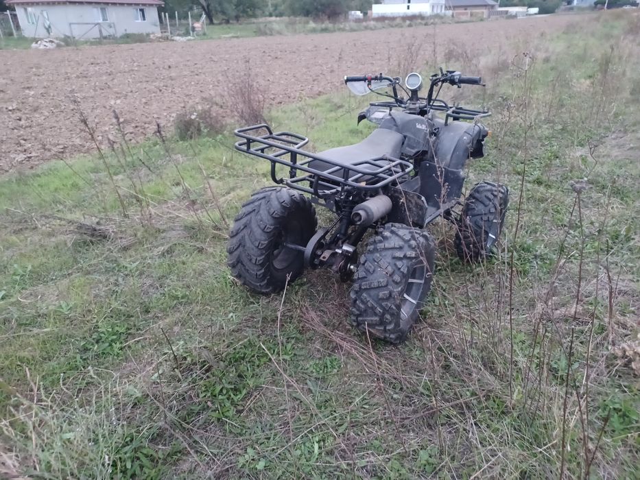 Atv 250cc manual
