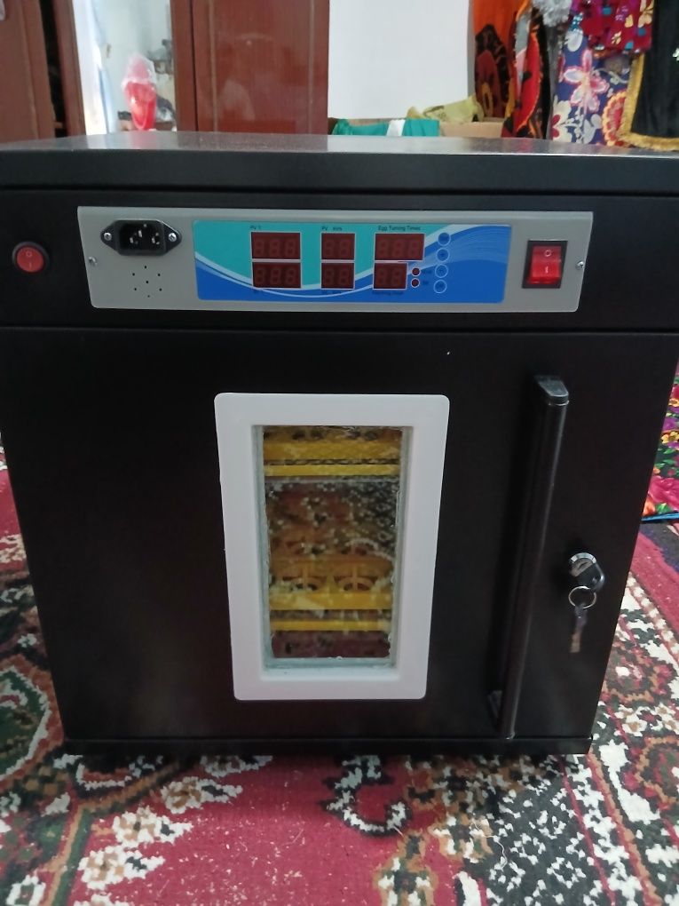 Inkubator original