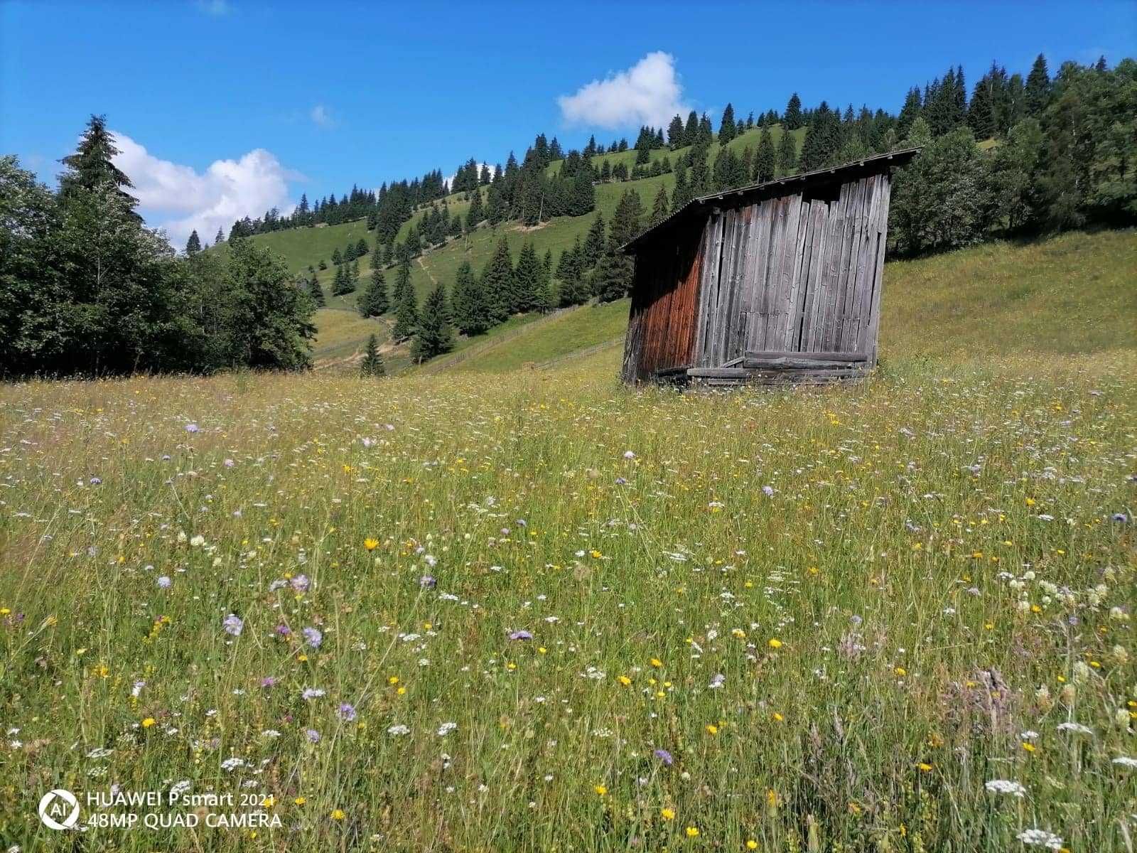 Teren de vanzare 9432 mp intravilan in Bucovina comuna Breaza