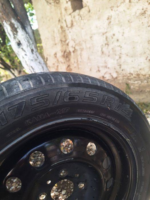 Kama 175/65/R14 всесезонка балон