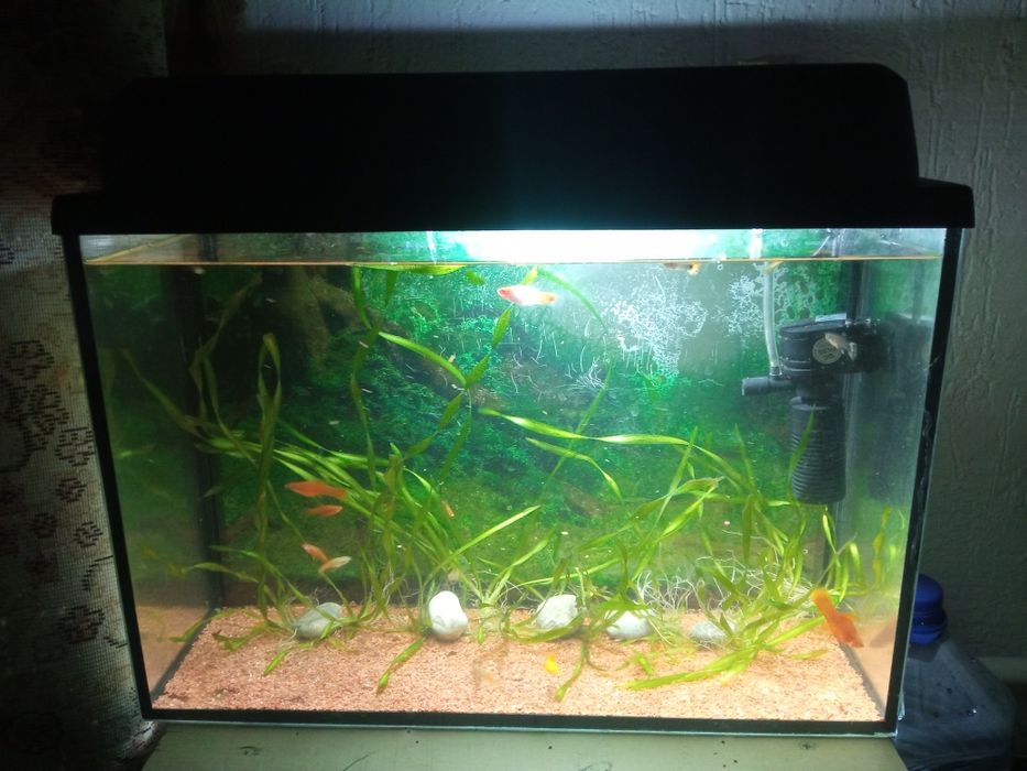 Срочно продам аквариум в полном комплекте