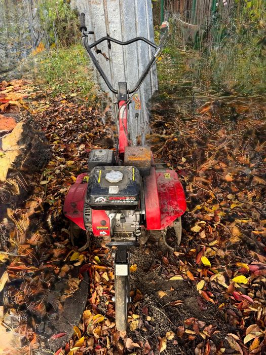 Vând motosapatoare pe benzina