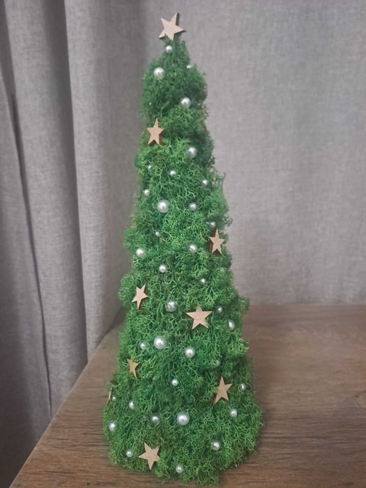 Tablouri cu licheni naturali stabilizati