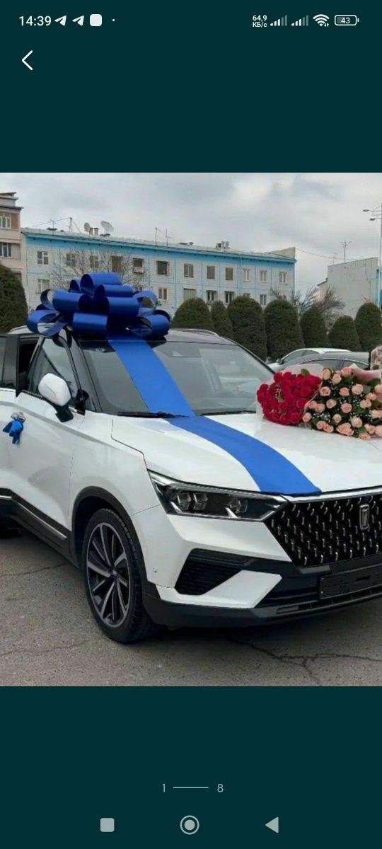 Бант лента Автабант,Sovģa uchun bantik