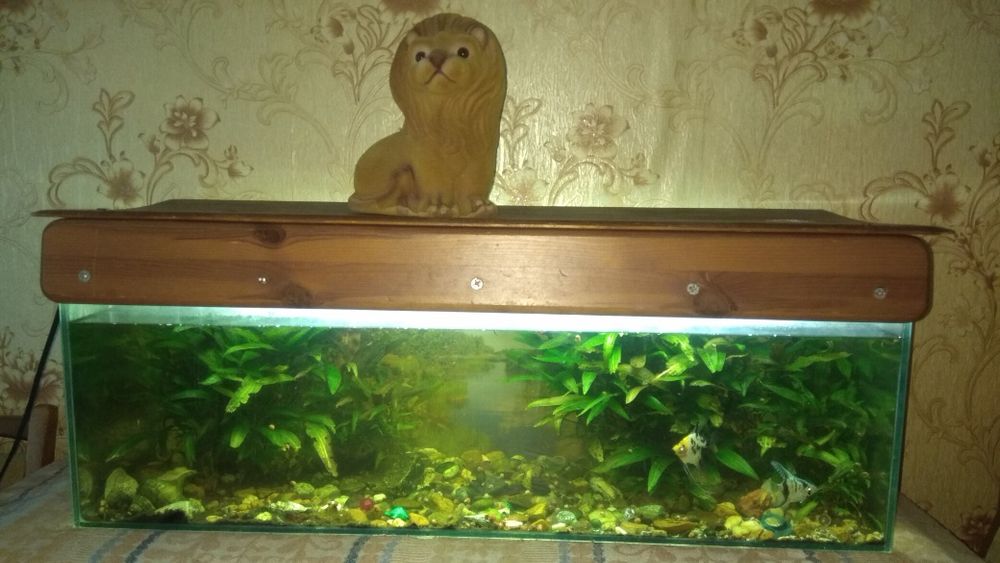 Аквариум на 60литров