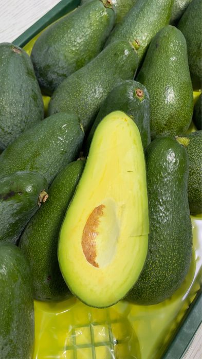 авокадо yangi turk avokadosi