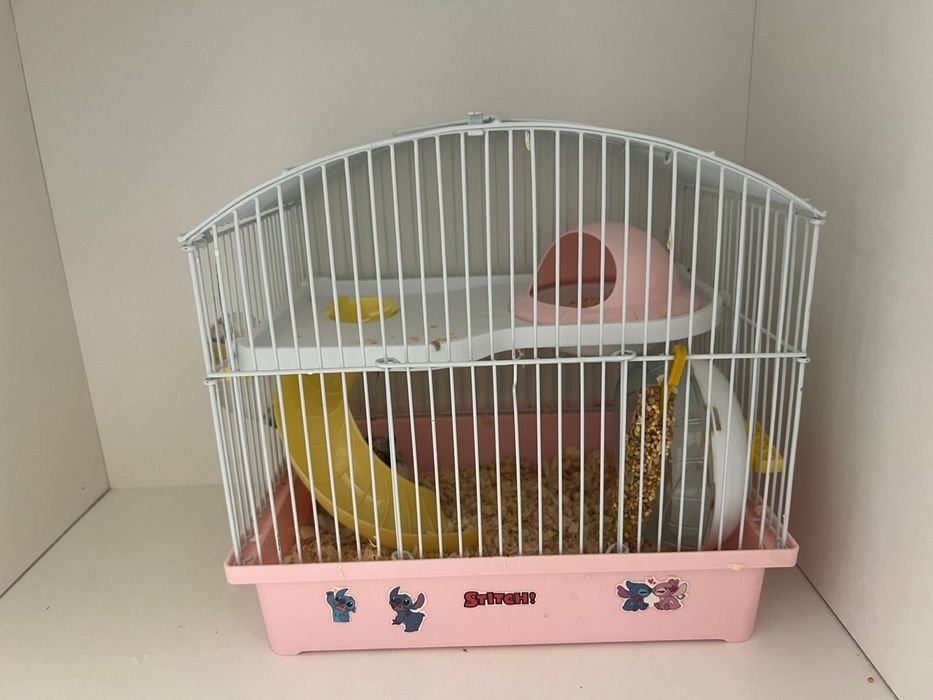 Хомяк 5 месяцев с клеткой