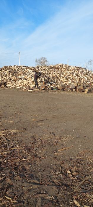 Продам ДРОВА Сухие