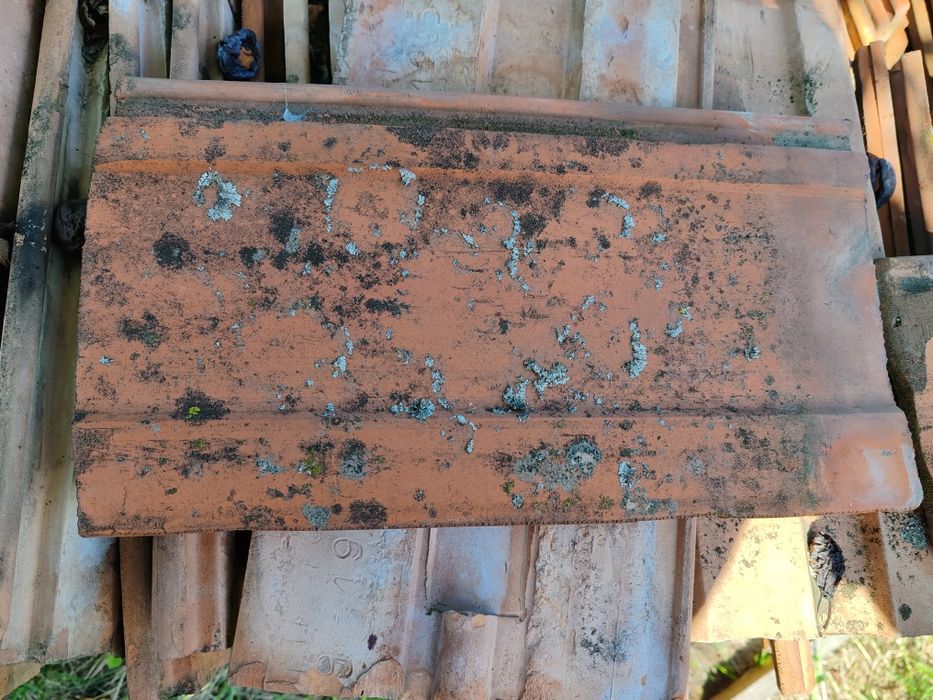 Tigla coame second 1 leu/buc