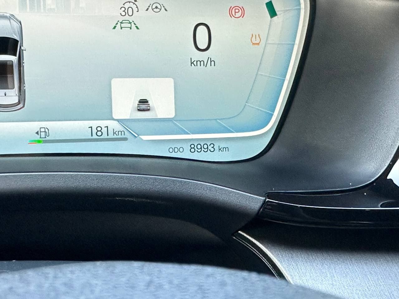 BYD CHempion gibrid 2024