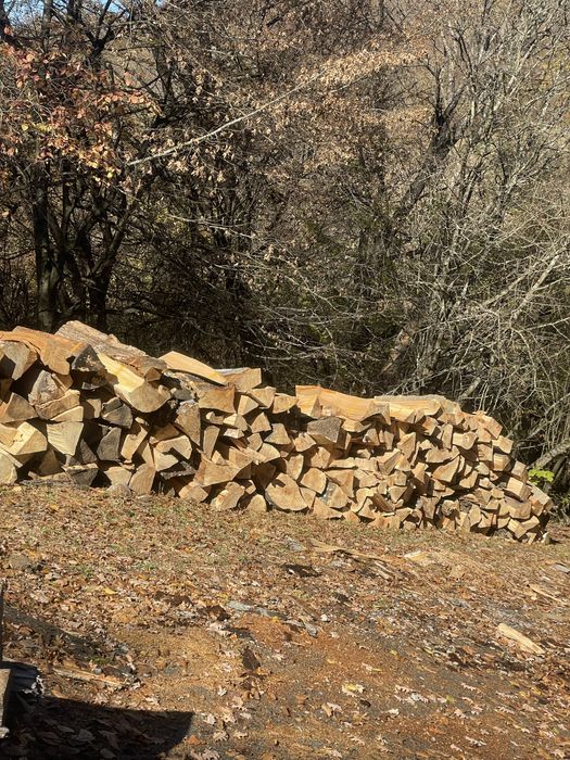 Lemne de foc fag blană