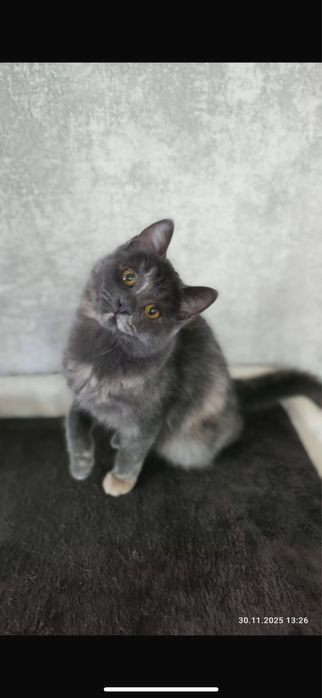 Очаровательная лапотулька Стеша!