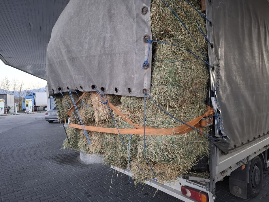 Vand baloti de Lucerna fan productie 2025 transport la domicilu