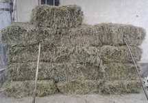 Vand baloti de otava- 18 ron- jud. Brasov
