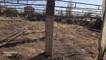 Дала ховли парник сотилади