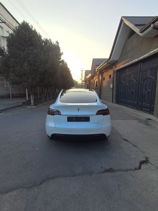 Tesla model y dual motor