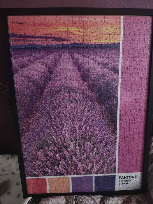 Пъзел pantone  в рамка