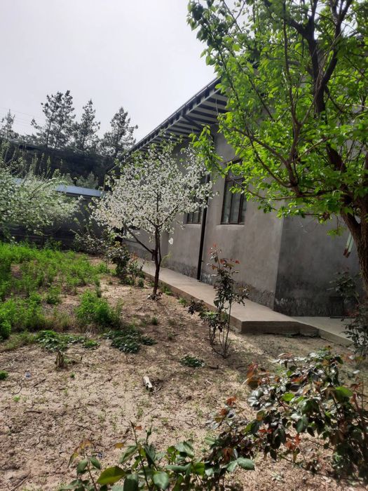 Срочно Кибрай марказида участка сотилади. Ховли узимники янги курилган