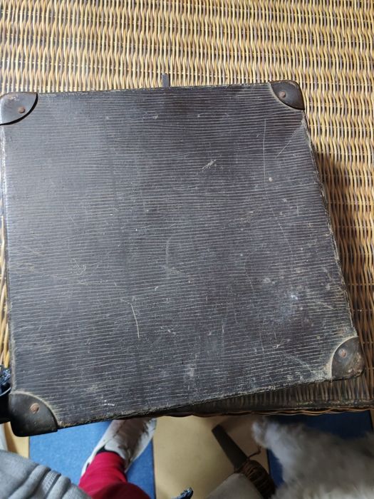 Plăcii patefon  30 de lei bucata