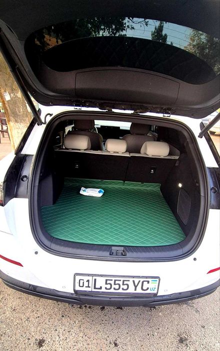 BYD SeaLion-06 605 Pilot Plus. белый салон