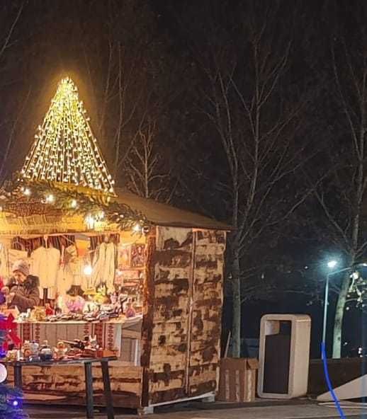 Decor (instalatie) Crăciun – Schelet metalic + perdea LED – 6x2m – 600