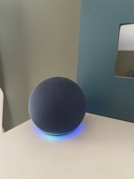 Boxa Alexa albastra