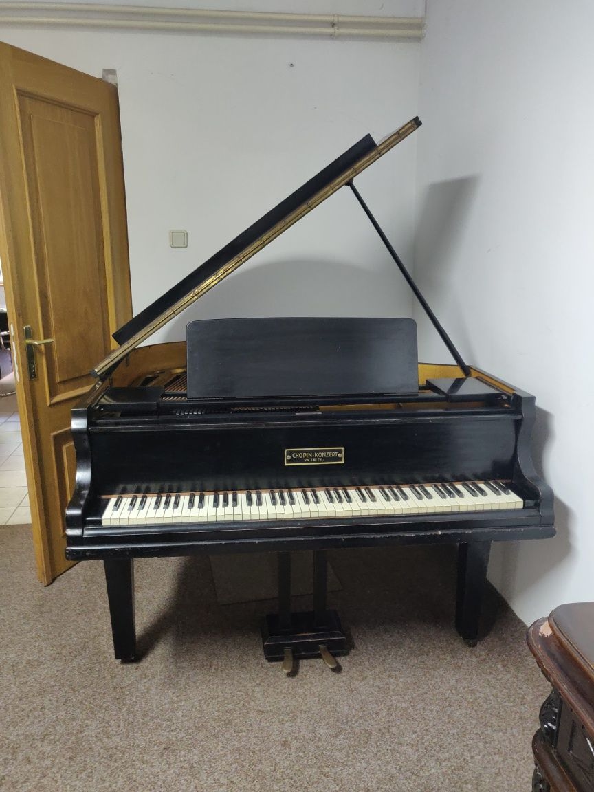Pian Chopin Konzert Wein 1910