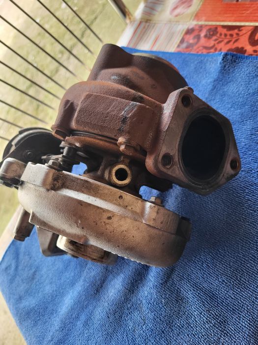 Двоен Хибрид 2565