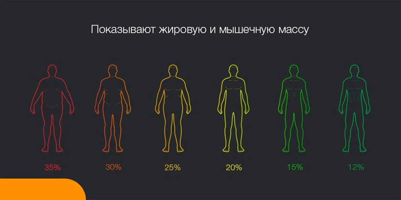 Ввесы Xiaomi Mi Body Composition Scale 2