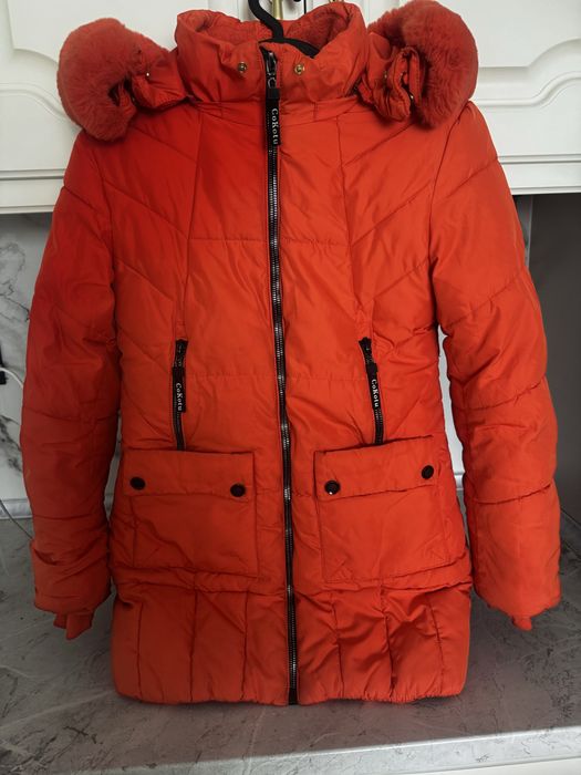 Kurtkalar hammasi zor holatta