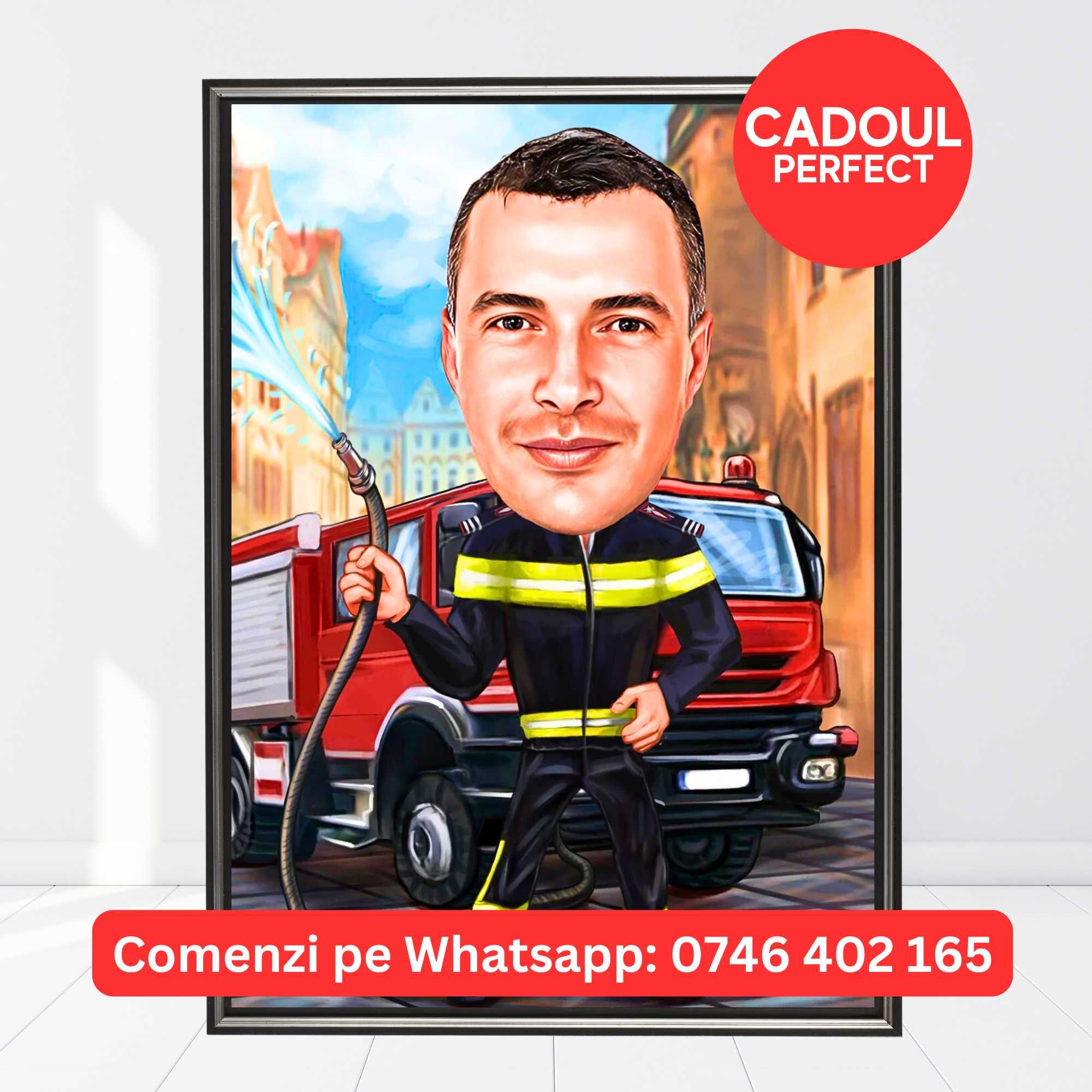 tablouri personalizate canvas, portrete personalizate, caricaturi