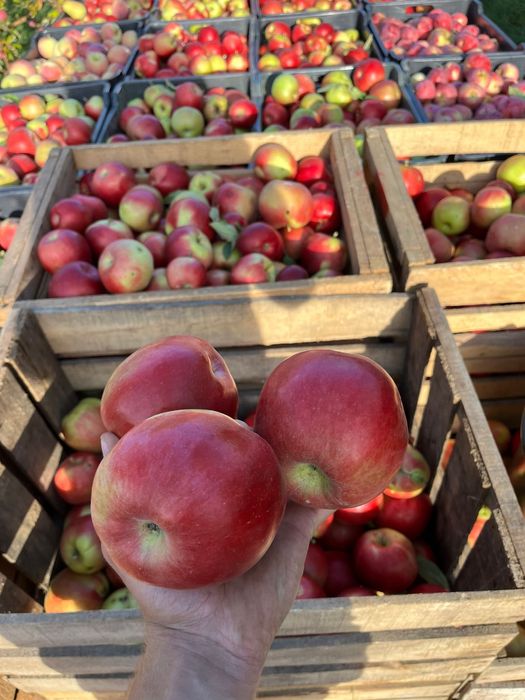 Vand diferite soiuri de mere!