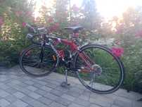 Velo sport judayam yaxshi xolatda bu narxga topish qiyin