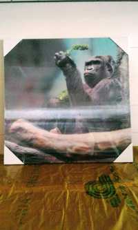 Decorațiune 3D de perete , Maimuță, 29x29 cm, 20 lei