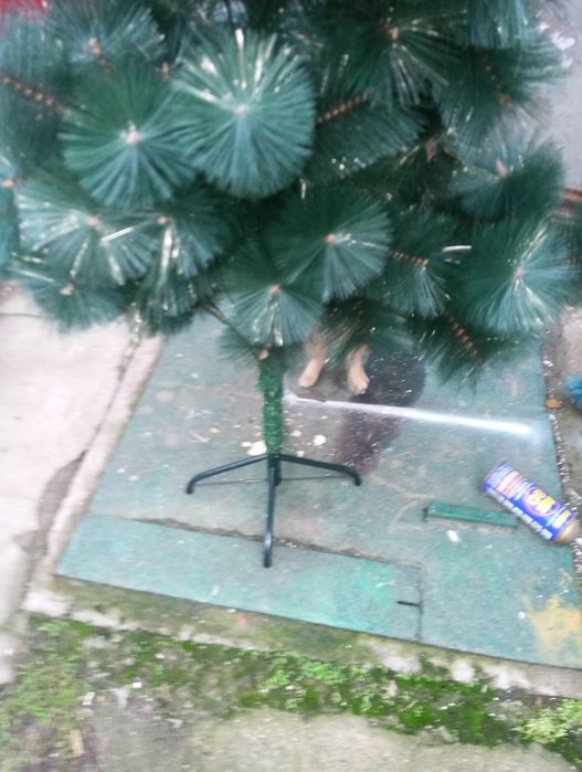 Коледна Елха..елха