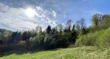 Vand 10 hectare de teren padure la Negrasi judetul Arges! Ocazie!