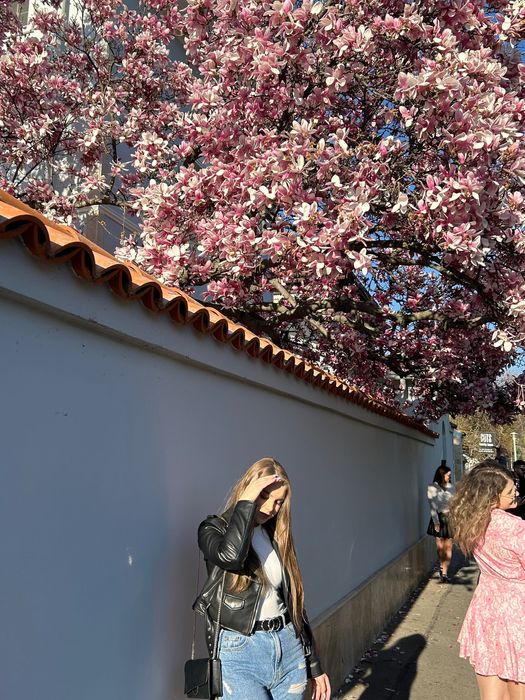 Meditații Limba română