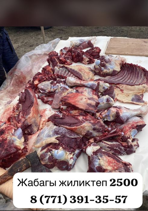 Жабагы жиликтеп 2500 тенгеден