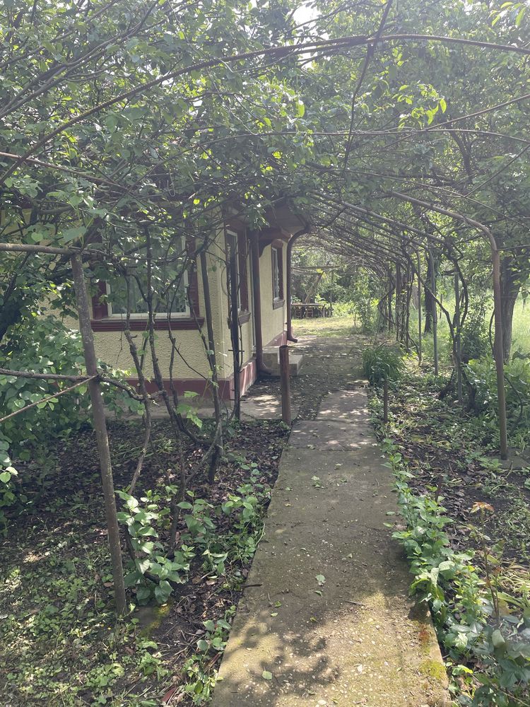 Casa Jud Calarasi