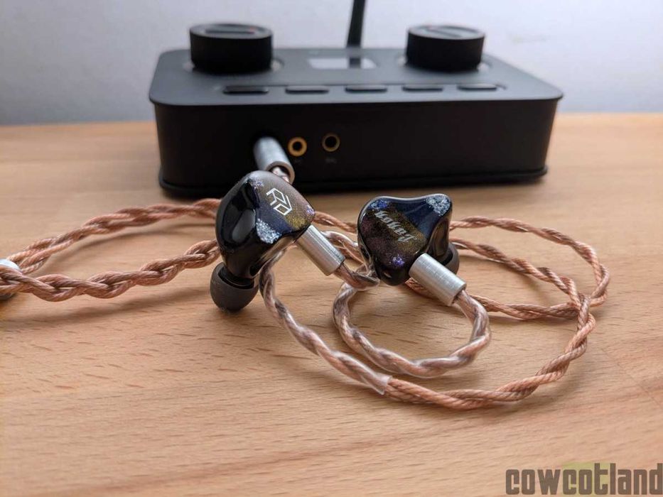 Yanyin Canon Pro 1DD + 6BA Monitors Casti HIFI IEMs In-Ear, 3.5mm, Noi